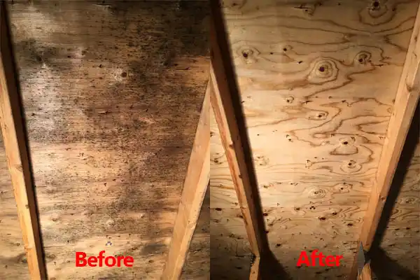 water damage restoration service Kenton